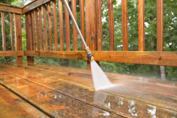 Best Soft Washing for Delicate Surfaces in Aitkin, MN